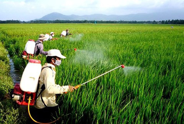 Thuốc bảo vệ thực vật sinh học tại TP Vinh Nghệ An