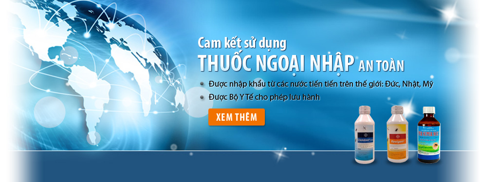 Diệt mối tại tại Hà Nội