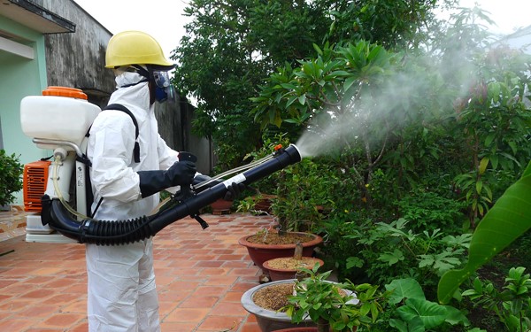 Dịch vụ phun thuốc diệt muỗi mối tận gốc Nghi Lộc, Diễn Châu Nghệ An